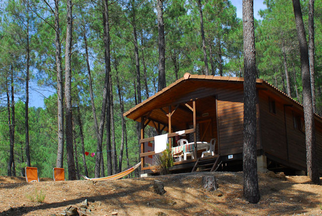 La Forêt Languedoc-Rosellón - Saint-Jean-du-Gard visuel 5/6 La Forêt Languedoc-Rosellón - Saint-Jean-du-Gard visuel 5/6