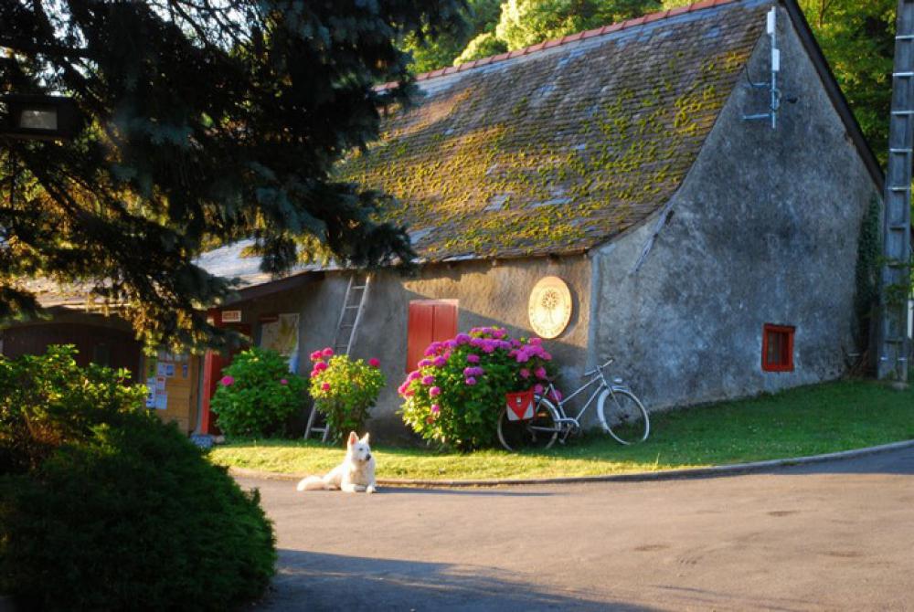 La Forêt Mediodía-Pirineos - Lourdes visuel 7/15