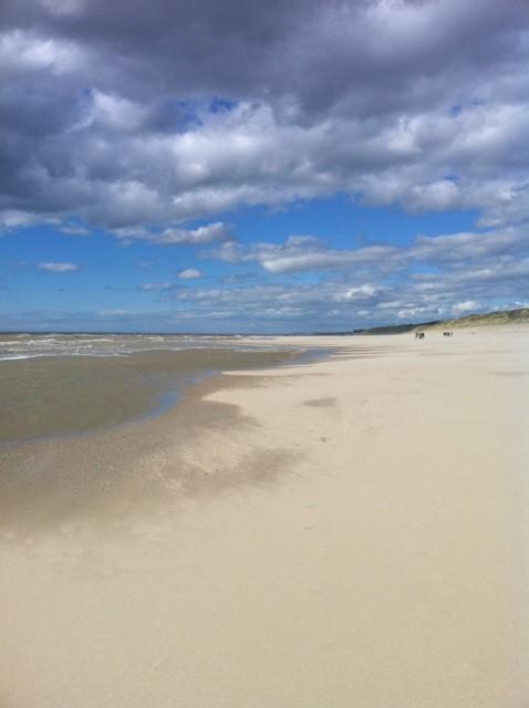 La Forêt Norte-Paso de Calais - Cucq visuel 3/3 La Forêt Norte-Paso de Calais - Cucq visuel 3/3