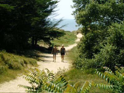 La Forêt Países del Loira - Saint-Jean-de-Monts visuel 5/11