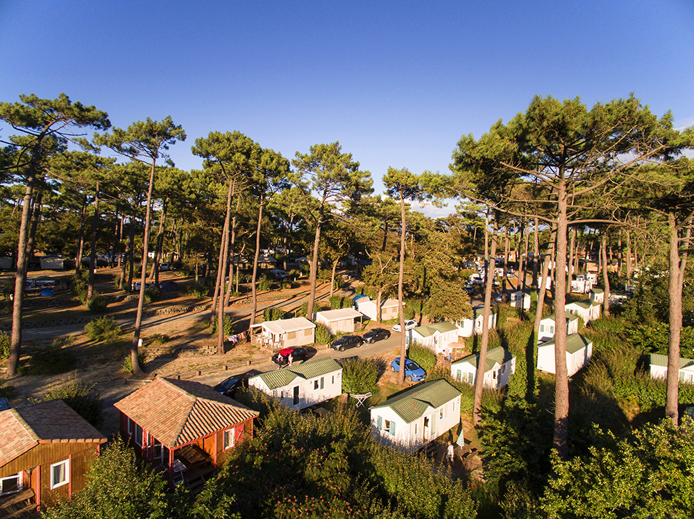 La Forêt du Pilat Aquitania - Pyla sur Mer visuel 17/25