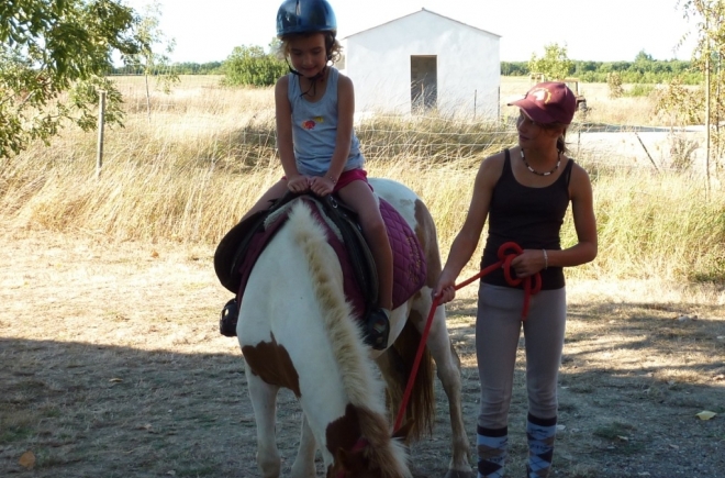 La Fraignaye Países del Loira - Saint-Denis-du-Payré visuel 7/10