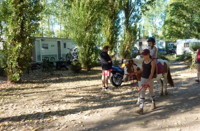 La Fraignaye Países del Loira - Saint-Denis-du-Payré visuel 9/10