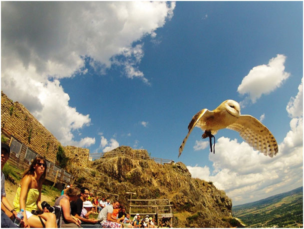 La Fressange Auvernia - Saint-Didier-en-Velay visuel 10/12