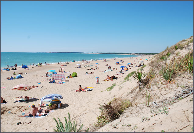 la Frétille Países del Loira - Longeville sur Mer visuel 6/11