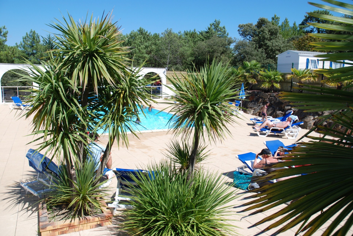 la Frétille Países del Loira - Longeville sur Mer visuel 11/11