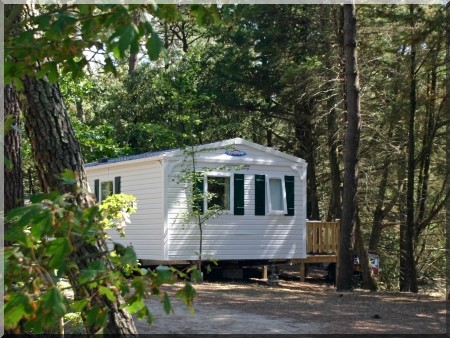 La Gachère Países del Loira - Olonne-sur-Mer visuel 5/10 La Gachère Países del Loira - Olonne-sur-Mer visuel 5/10