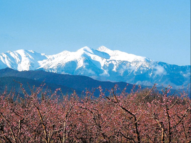La Garenne Languedoc-Rosellón - Néfiach visuel 7/8