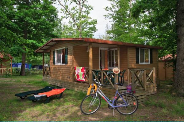 La Grande Tortue centro valle - Candé-sur-Beuvron visuel 6/9 La Grande Tortue centro valle - Candé-sur-Beuvron visuel 6/9