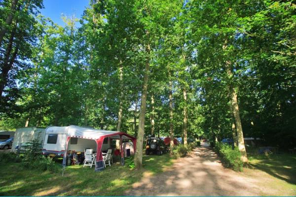 La Grande Tortue centro valle - Candé-sur-Beuvron visuel 7/9 La Grande Tortue centro valle - Candé-sur-Beuvron visuel 7/9