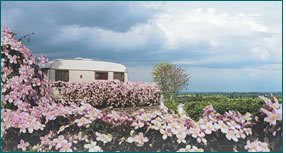 Meursault Bourgogne - Meursault visuel 8/10