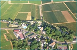 Meursault Bourgogne - Meursault visuel 10/10