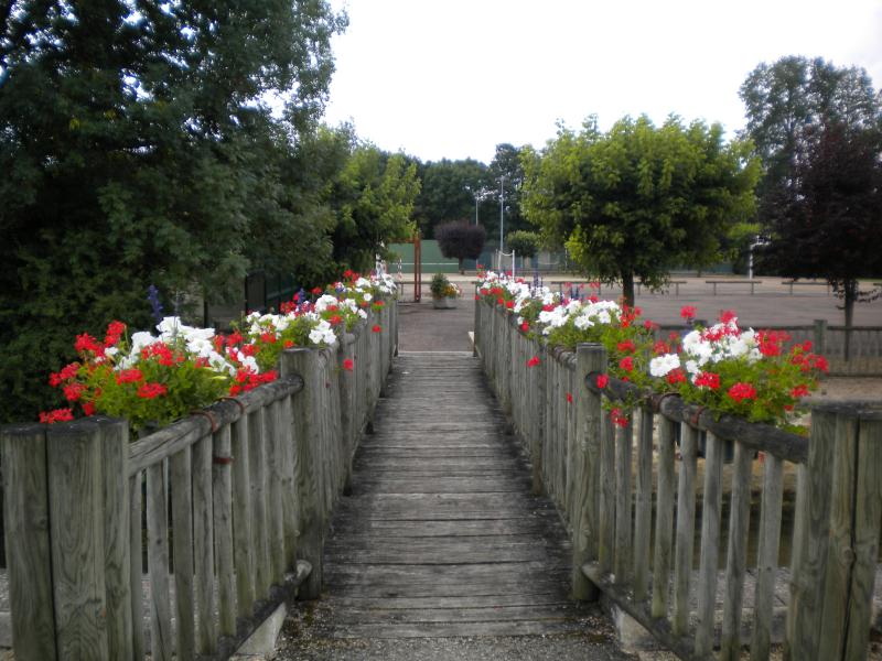 La Gravière du Moulin Bourgogne - Lézinnes visuel 8/10