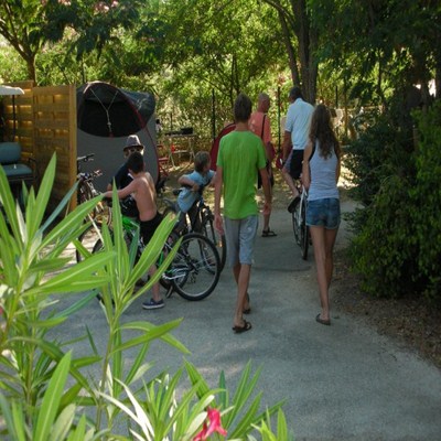 Lou Cabasson Provenza-Alpes-Costa Azul - Bormes-les-Mimosas visuel 11/11