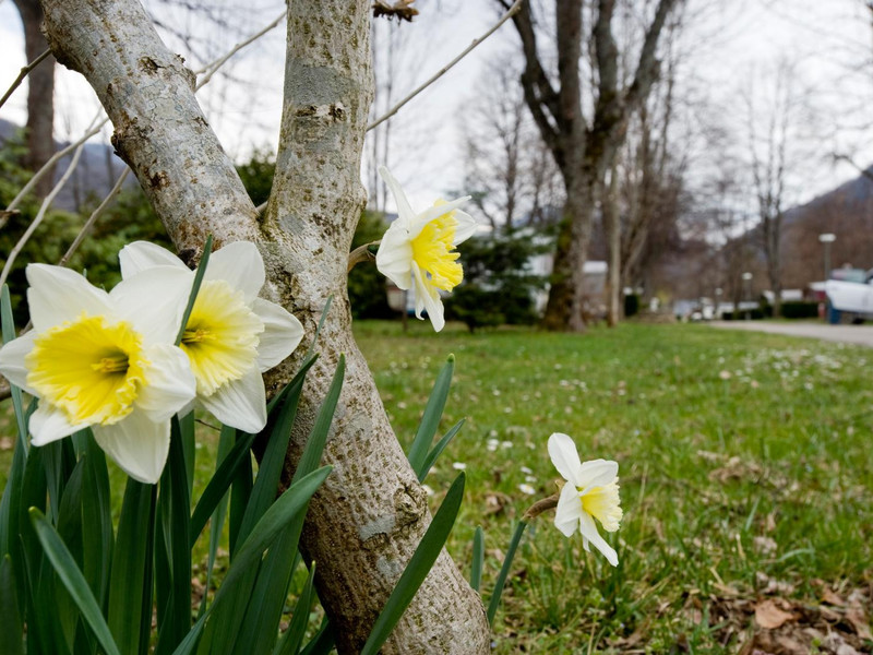 La Marmotte Mediodía-Pirineos - Savignac-les-Ormeaux visuel 3/5 La Marmotte Mediodía-Pirineos - Savignac-les-Ormeaux visuel 3/5