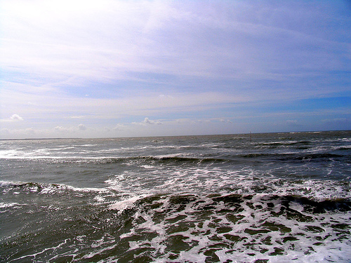 La Mouette Cendrée Países del Loira - Saint-Vincent-sur-Jard visuel 6/8