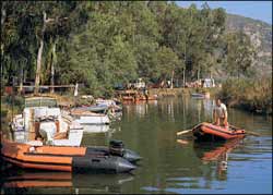 La Pinède Córcega - Saint-Florent visuel 3/3
