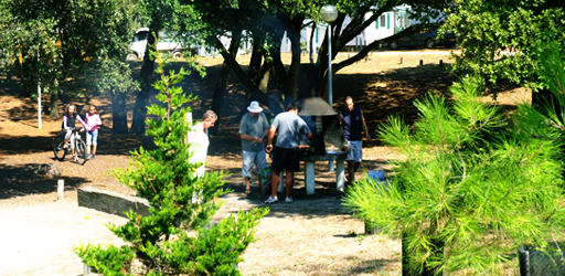 La Plage de Riez Países del Loira - Saint-Hilaire-de-Riez visuel 5/10