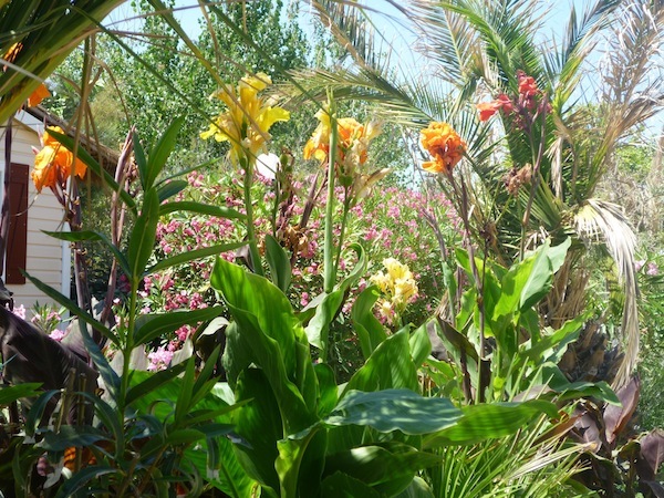 la Plage et du Bord de Mer Languedoc-Rosellón - Vendres visuel 6/11