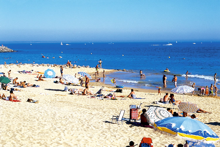 La Pomme de Pin Países del Loira - Jard-sur-Mer visuel 2/11
