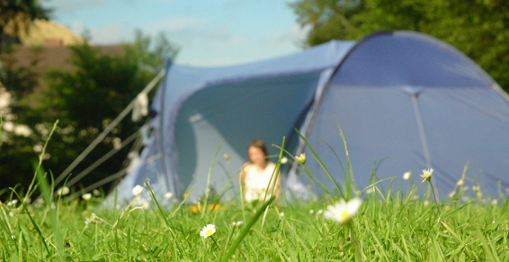 La Prairie Aquitania - Carcans visuel 2/6