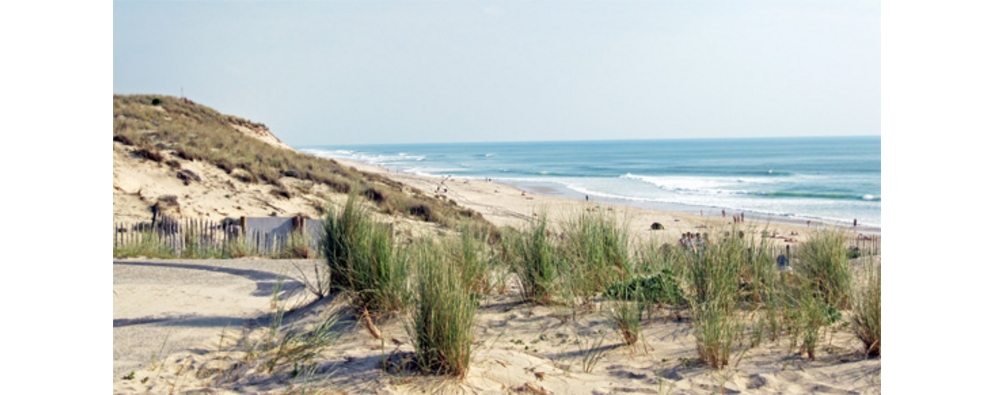 La Prairie Aquitania - Carcans visuel 5/6