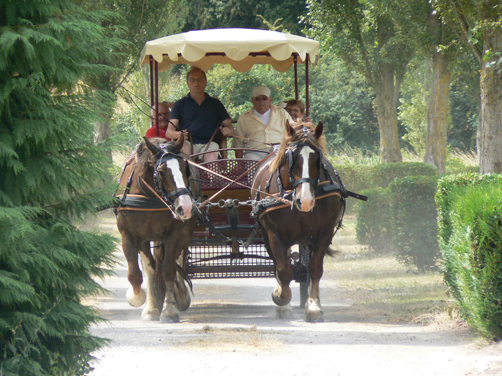 La Promenade Países del Loira - Montjean-sur-Loire visuel 7/8 La Promenade Países del Loira - Montjean-sur-Loire visuel 7/8