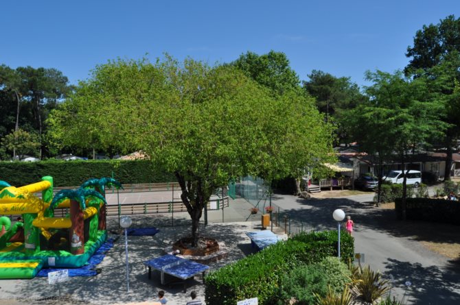 La Puerta del Sol Países del Loira - Saint-Hilaire-de-Riez visuel 9/10 La Puerta del Sol Países del Loira - Saint-Hilaire-de-Riez visuel 9/10