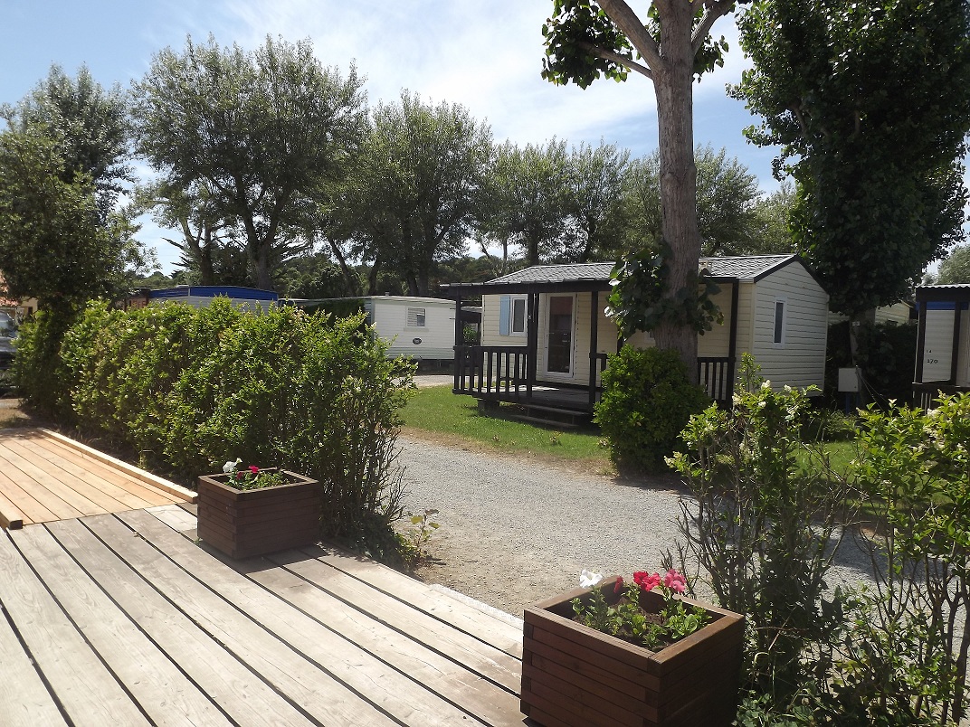 La Rive Países del Loira - Notre-Dame-de-Monts visuel 3/4