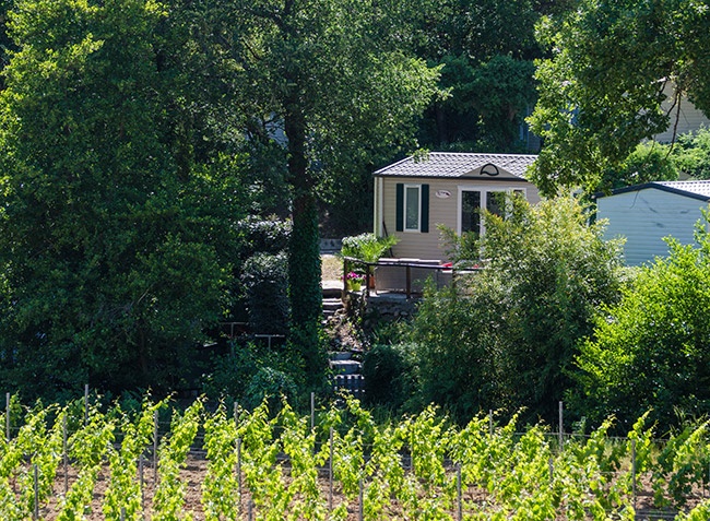 La Rouillère Provenza-Alpes-Costa Azul - Ramatuelle visuel 6/9 La Rouillère Provenza-Alpes-Costa Azul - Ramatuelle visuel 6/9