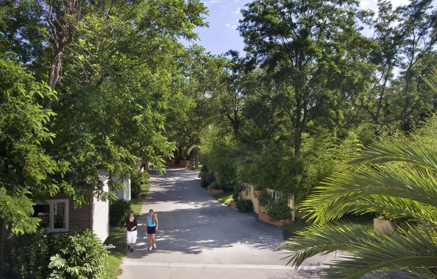 La Sirène Languedoc-Rosellón - Argelès-sur-Mer visuel 15/16 La Sirène Languedoc-Rosellón - Argelès-sur-Mer visuel 15/16