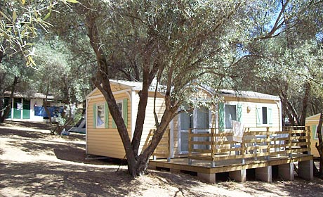 La Sposata Córcega - Vico visuel 1/1 La Sposata Córcega - Vico visuel 1/1