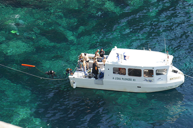 la Tour Fondue Provenza-Alpes-Costa Azul - Hyères visuel 5/11 la Tour Fondue Provenza-Alpes-Costa Azul - Hyères visuel 5/11