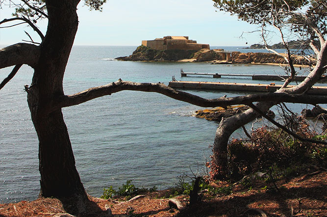 la Tour Fondue Provenza-Alpes-Costa Azul - Hyères visuel 6/11 la Tour Fondue Provenza-Alpes-Costa Azul - Hyères visuel 6/11