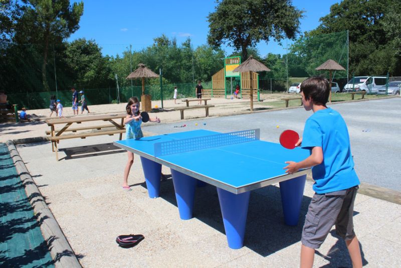 La Trévillière Países del Loira - Brétignolles-sur-Mer visuel 6/12 La Trévillière Países del Loira - Brétignolles-sur-Mer visuel 6/12