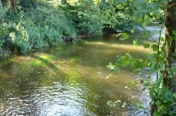 La Vallée du Ninian Bretaña - Taupont visuel 2/10 La Vallée du Ninian Bretaña - Taupont visuel 2/10