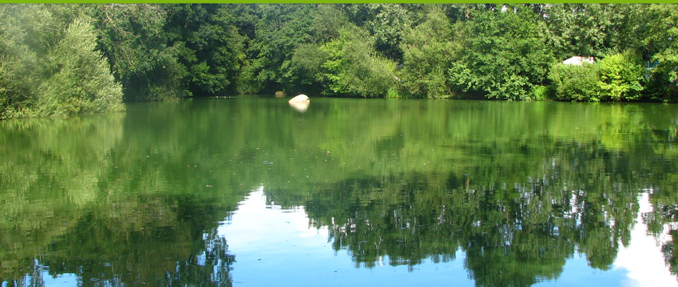 La Venise du Bocage Países del Loira - Nesmy visuel 5/7 La Venise du Bocage Países del Loira - Nesmy visuel 5/7