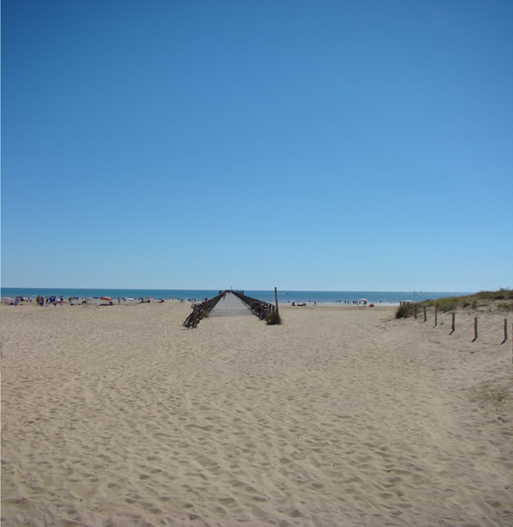 L'Abri des Pins Países del Loira - Saint-Jean-de-Monts visuel 2/4 L'Abri des Pins Países del Loira - Saint-Jean-de-Monts visuel 2/4