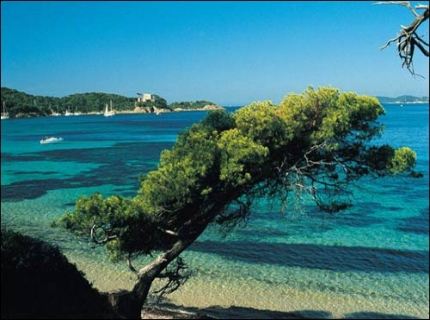 Lac de St-Cyr Poitou-Charentes - Saint-Cyr visuel 11/18