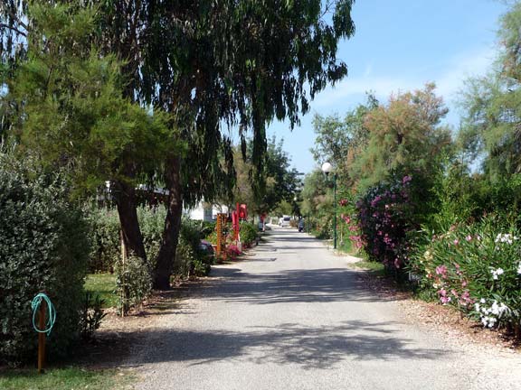 Lac de St-Cyr Poitou-Charentes - Saint-Cyr visuel 12/18