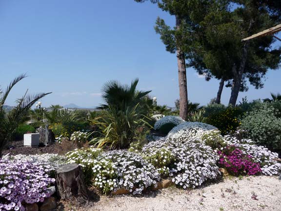 Lac de St-Cyr Poitou-Charentes - Saint-Cyr visuel 14/18