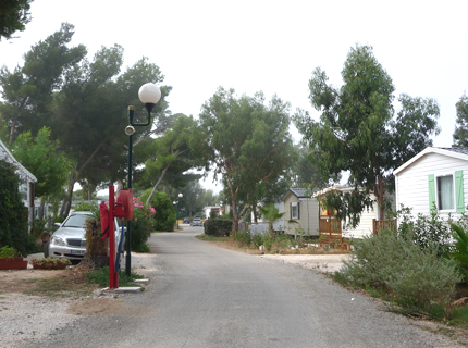 Lac de St-Cyr Poitou-Charentes - Saint-Cyr visuel 16/18