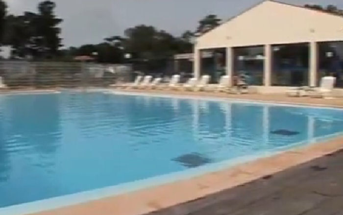 L'Albizia Países del Loira - Notre-Dame-de-Monts visuel 6/9