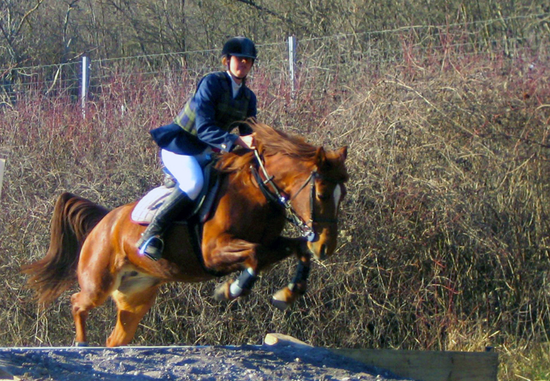 L'Amitié Provenza-Alpes-Costa Azul - Touët-sur-Var visuel 3/7 L'Amitié Provenza-Alpes-Costa Azul - Touët-sur-Var visuel 3/7