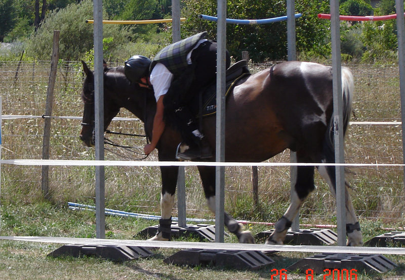 L'Amitié Provenza-Alpes-Costa Azul - Touët-sur-Var visuel 7/7 L'Amitié Provenza-Alpes-Costa Azul - Touët-sur-Var visuel 7/7