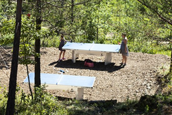 Lanmary Aquitania - Antonne-et-Trigonant visuel 4/7