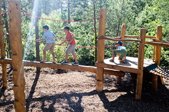 Lanmary Aquitania - Antonne-et-Trigonant visuel 5/7