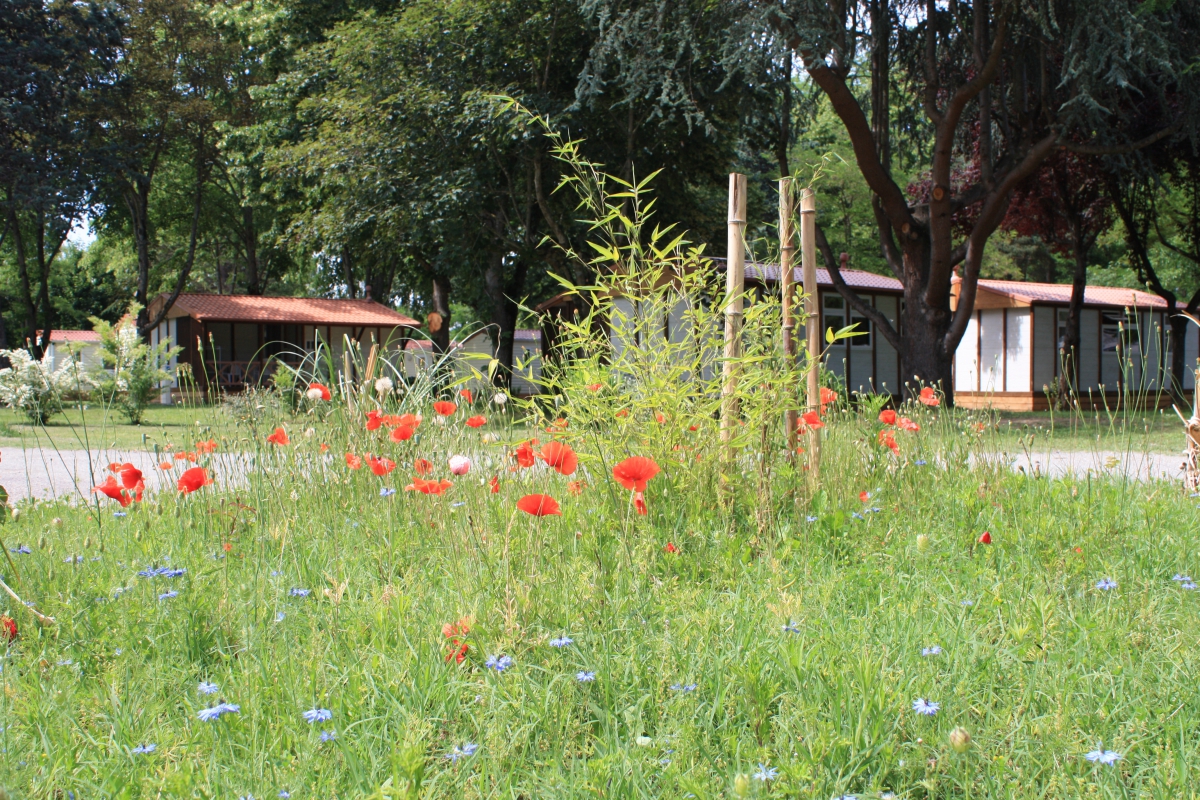L'Apamée Mediodía-Pirineos - Pamiers visuel 8/9 L'Apamée Mediodía-Pirineos - Pamiers visuel 8/9