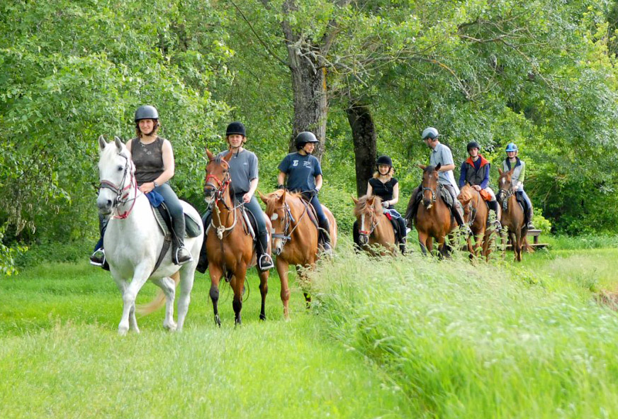 L'Arche Languedoc-Rosellón - Anduze visuel 9/9 L'Arche Languedoc-Rosellón - Anduze visuel 9/9