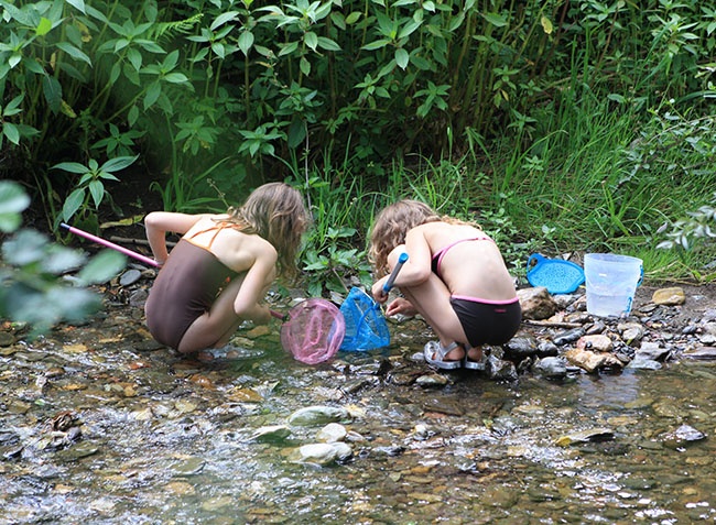 L'Arize Mediodía-Pirineos - La Bastide-de-Sérou visuel 4/10 L'Arize Mediodía-Pirineos - La Bastide-de-Sérou visuel 4/10
